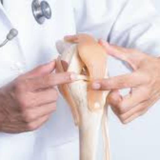 Orthopaedic Care in Jhajjar | Expert Treatment | IVAAN CLINIC | SHOP NO 160 SECTOR  06 MARKET JHAJJAR  LANDMARK NEAR SECTOR 6 Market