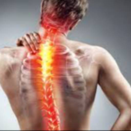 Musculoskeletal Pain Management in Jhajjar | Lasting Relief | IVAAN CLINIC | SHOP NO 160 SECTOR  06 MARKET JHAJJAR  LANDMARK NEAR SECTOR 6 Market