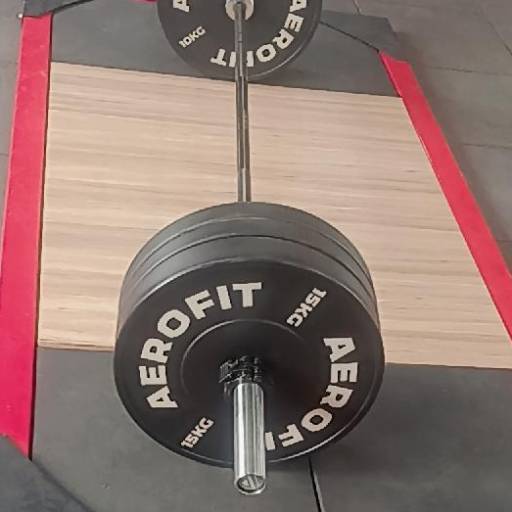AEROFIT Rubber Bumper Plates in Kot Budha | Durable Gym Equipment at THE ROCK FITNESS, QADIAN