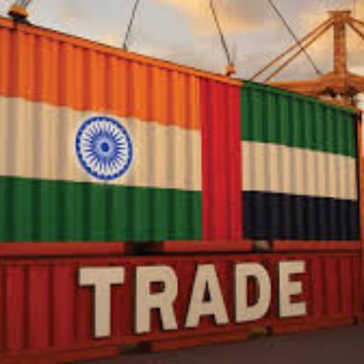 Trade Facilitation in Indore | Expand Internationally at SHOWMAX GLOBAL, INDORE