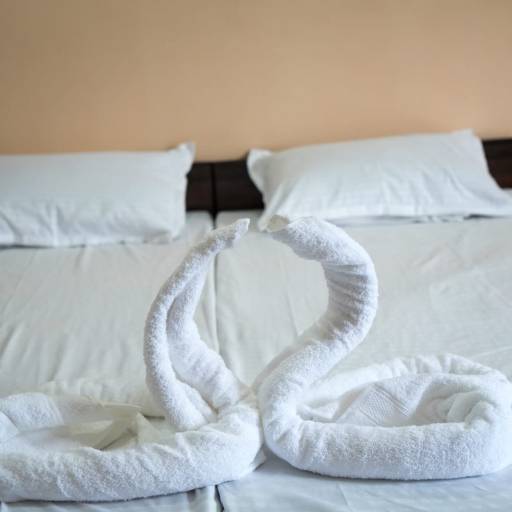 Non-AC Room in Suratgarh | Affordable Comfort at ROYAL GUEST HOUSE, SURATGARH