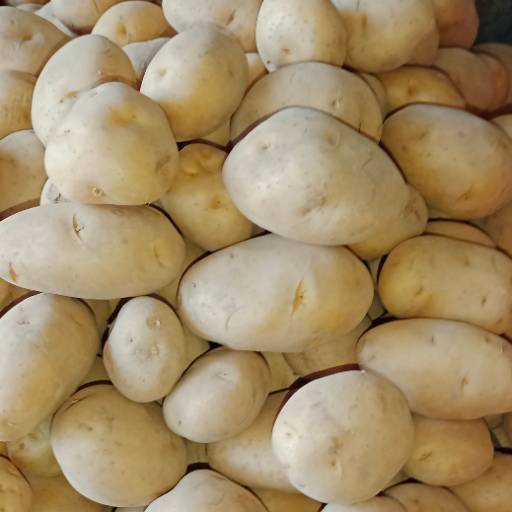 Fresh Patato Vegetable in Pune | Nutritious Addition in