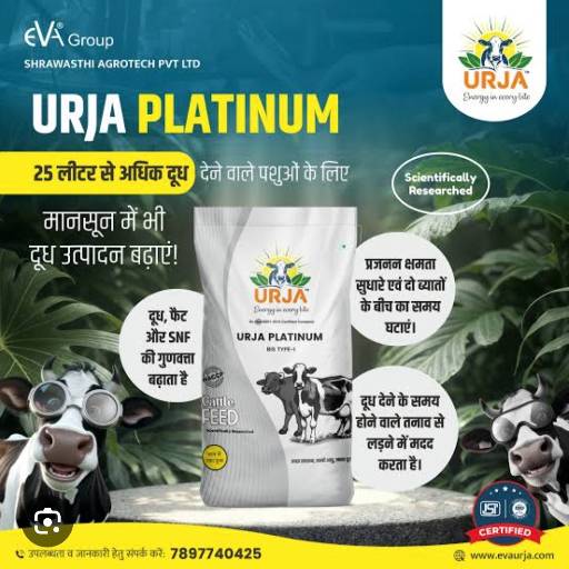 Premium Animals Feed in Lakhimpur Kheri | Healthier