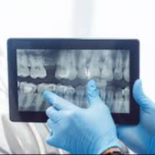 Digital X-ray in Majlis Park | Advanced Imaging in
