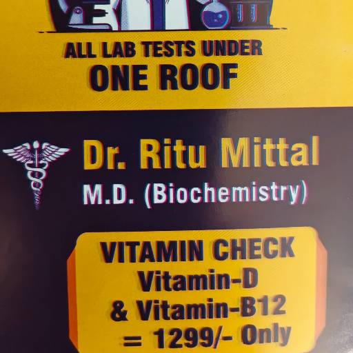 Vitamin Test in Patiala | Get Accurate Results in PATIALA